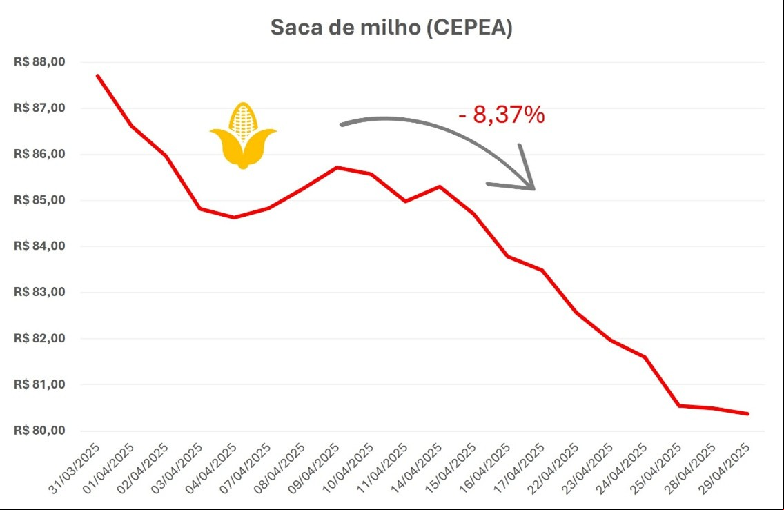 mercado futuro