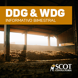 DDG & WDG - Relatório mensal Scot Consultoria