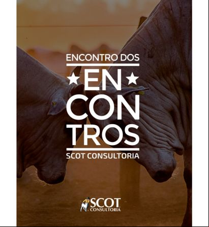 Anais do Encontro dos Encontros da Scot Consultoria 2015