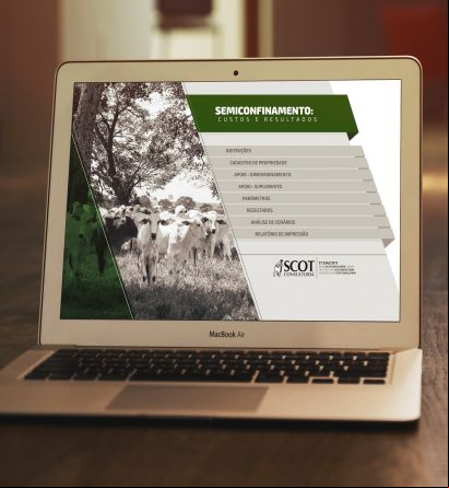 Planilha Semiconfinamento: Custos e Resultados de Bovinos