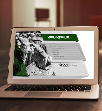 Planilha Confinamento: Custos e Resultados de Bovinos